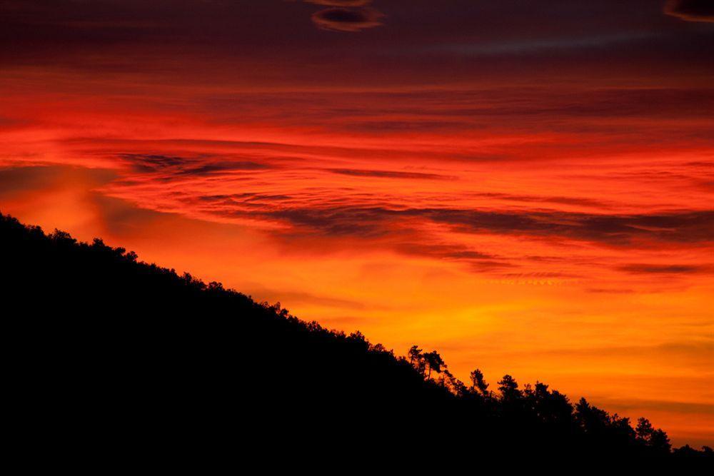 Oasi Verde Castiglione Chiavarese ภายนอก รูปภาพ