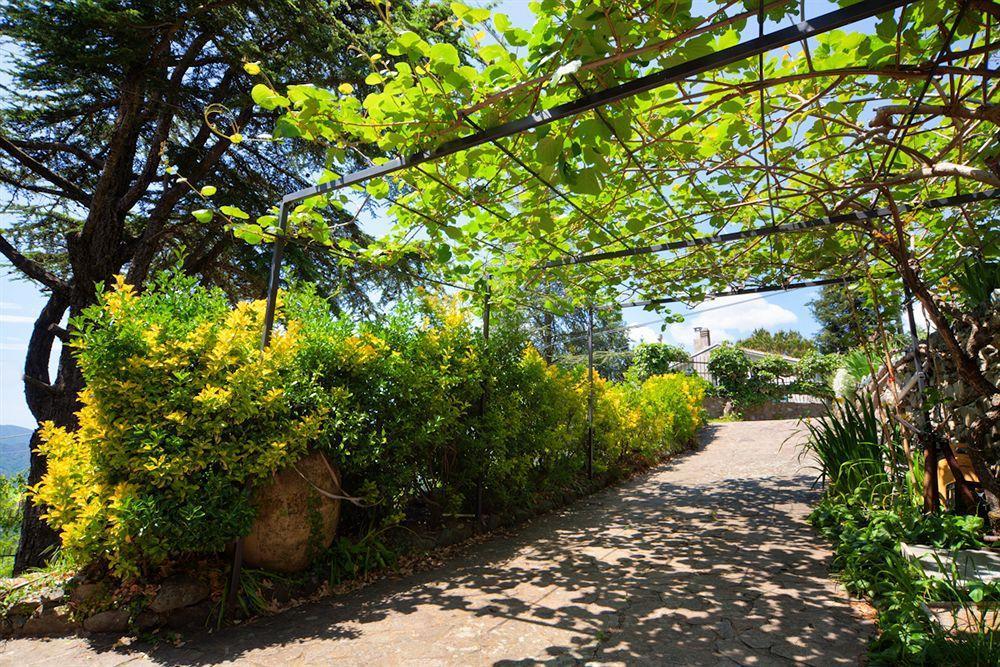 Oasi Verde Castiglione Chiavarese ภายนอก รูปภาพ