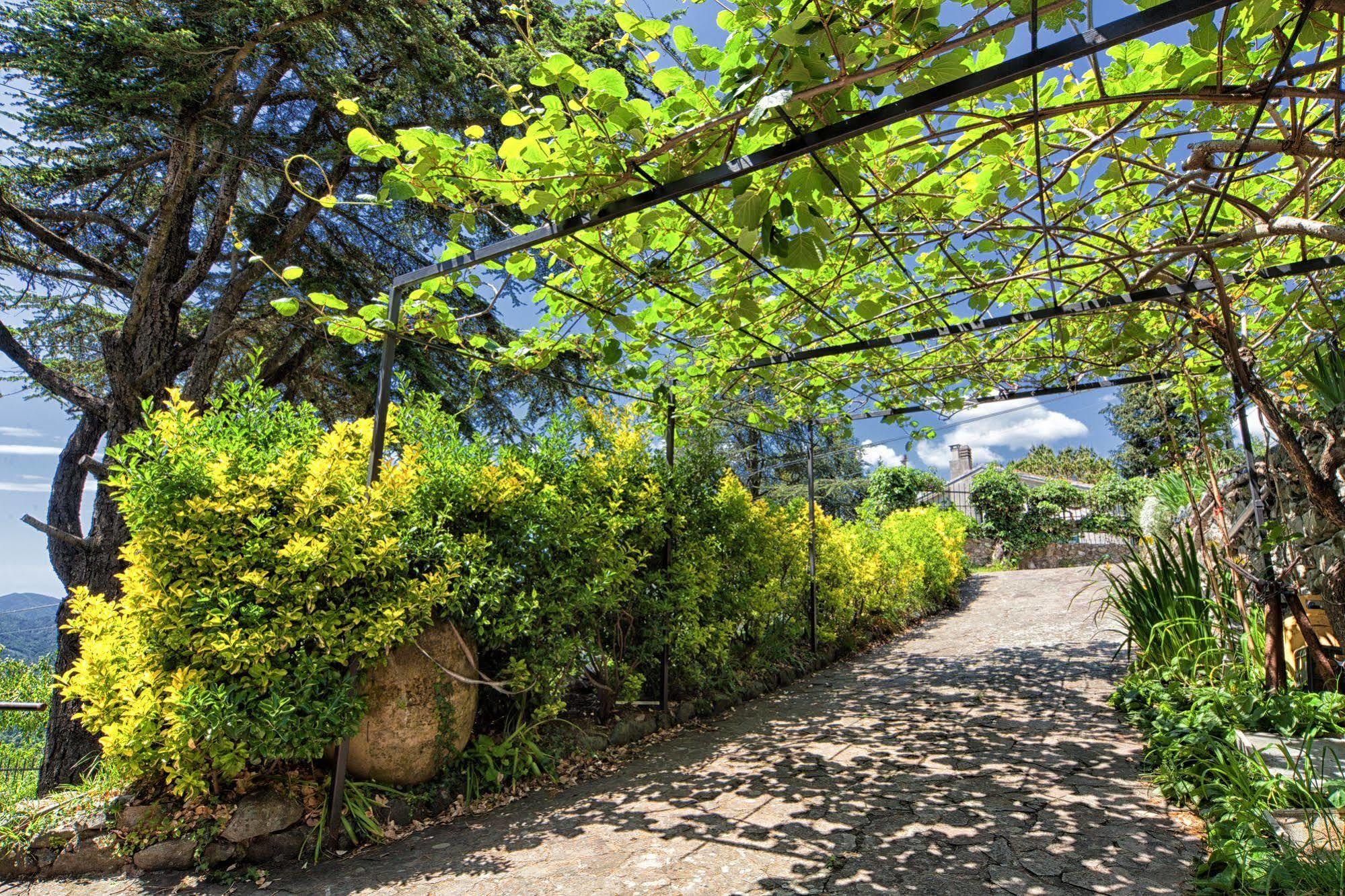 Oasi Verde Castiglione Chiavarese ภายนอก รูปภาพ